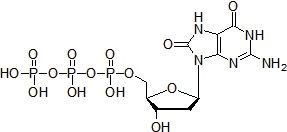 8-Oxo-2'ｰdeoxyguanosine-5'-Triphosphate