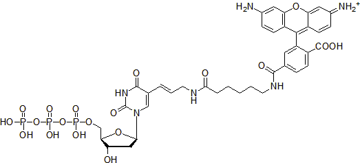 ​Rhodamine-12-dUTP
