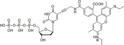 ​Rhodamine-6G-dUTP